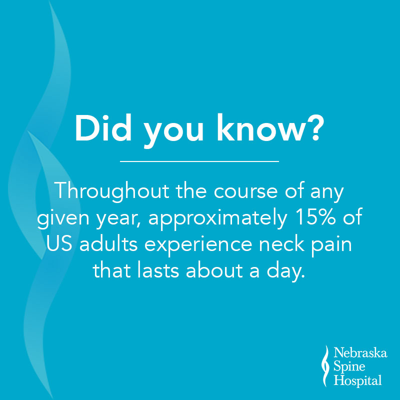 neck pain fact 