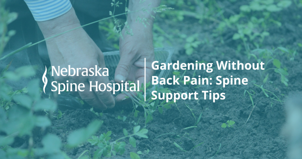 gardening without back pain